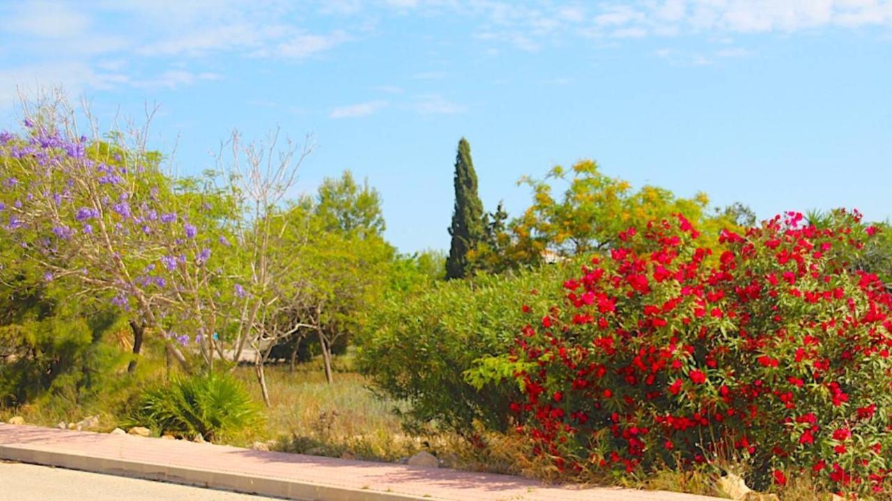 Oasis Holiday House Orihuela Exterior photo